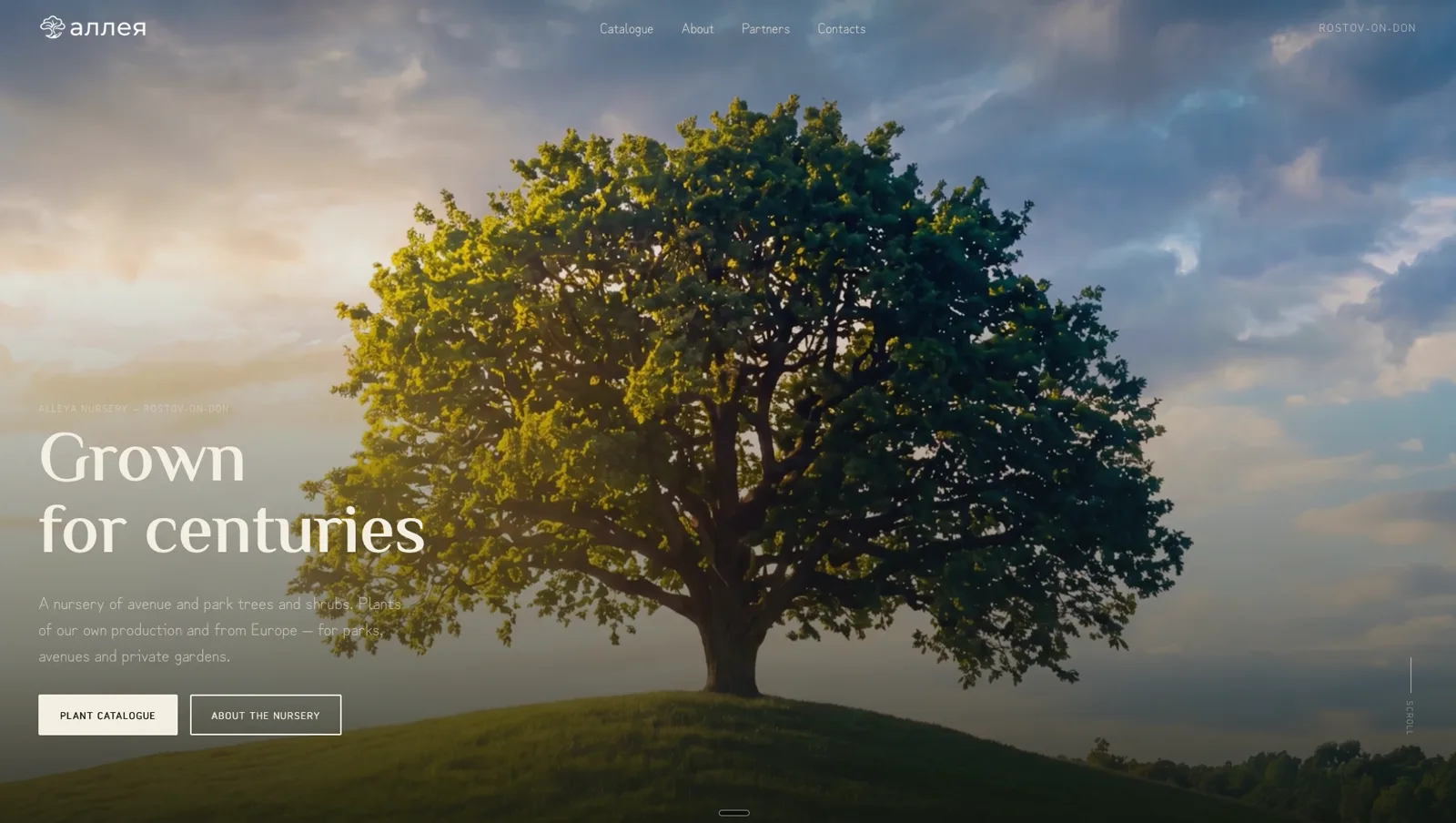 Alley website cover